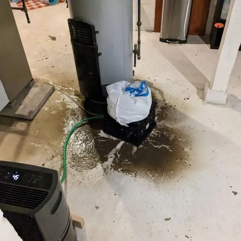 Sewage Backup Cleanup Service in Avonia, PA